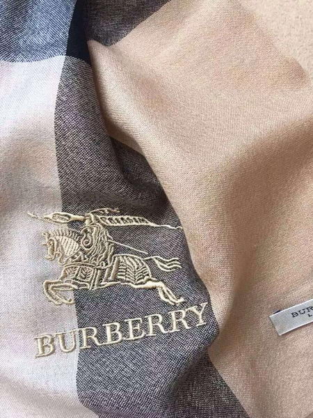 BurBerry Scarf BU17071704