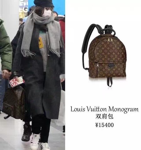 Louis Vuitton Monogram Canvas PALM SPRINGS BACKPACK MM M41561