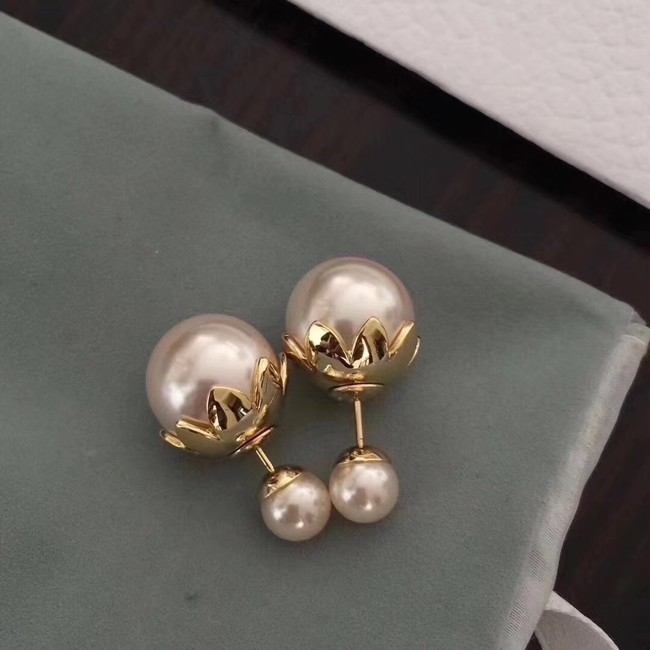 Dior Earrings CE1974