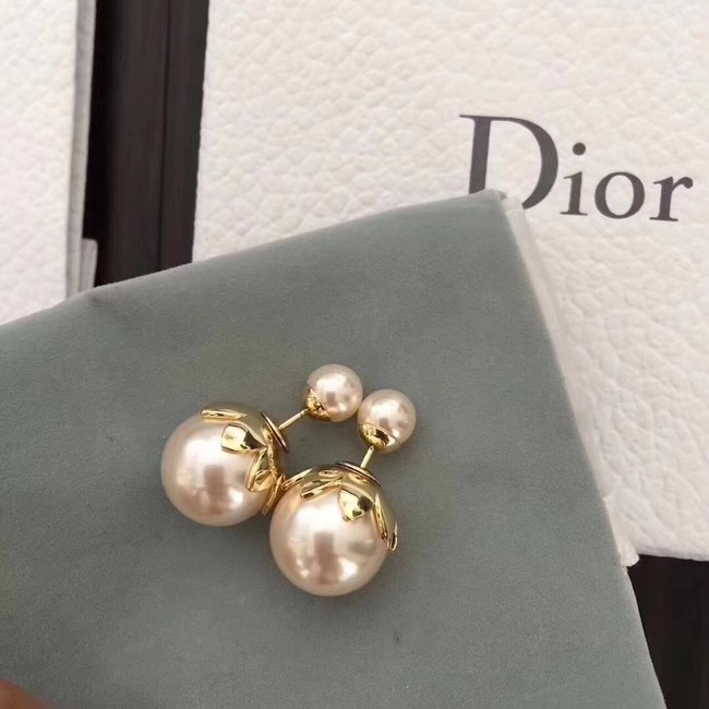 Dior Earrings CE1974