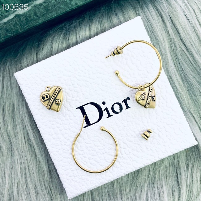 Dior Earrings CE2019