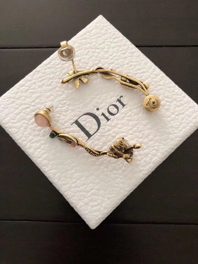 Dior Earrings CE2134