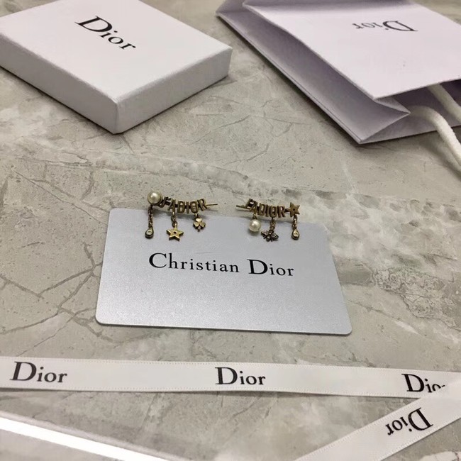 Dior Earrings CE2135