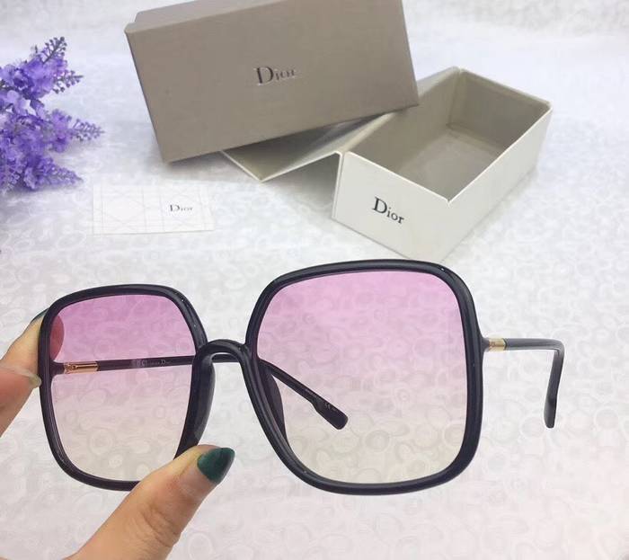 Dior Sunglasses Top Quality D41598