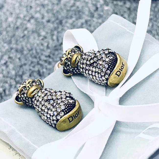 Dior Earrings CE2355