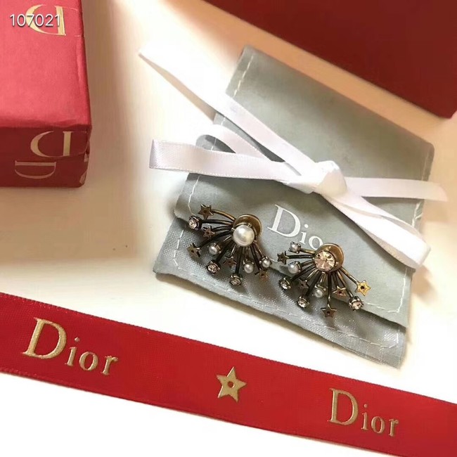 Dior Earrings CE3597