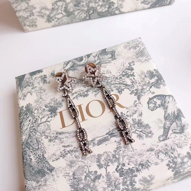 Dior Earrings CE4338