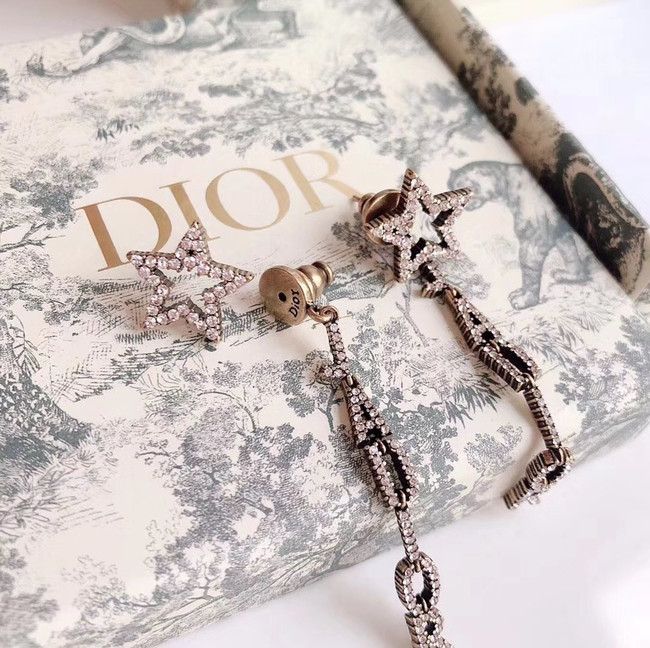 Dior Earrings CE4338