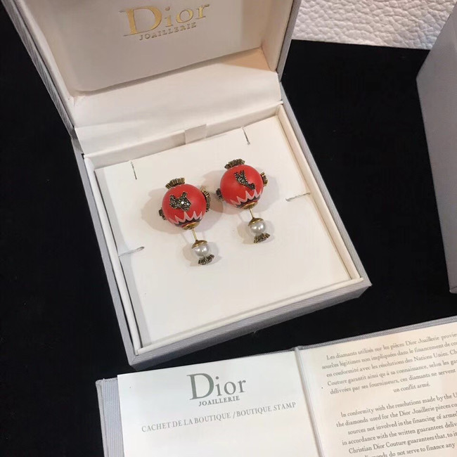 Dior Earrings CE4613