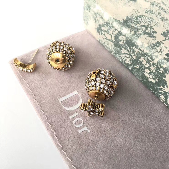 Dior Earrings CE4889