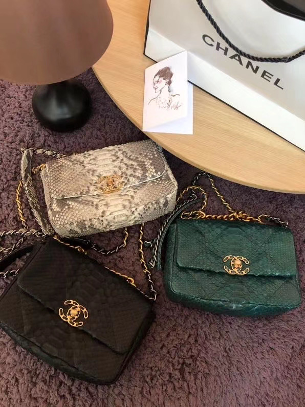 CHANEL 19 Flap Bag Original Snake skin flap bag AS1160 green