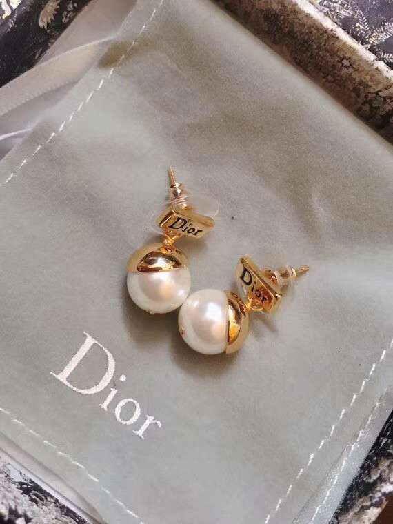 Dior Earrings CE5018