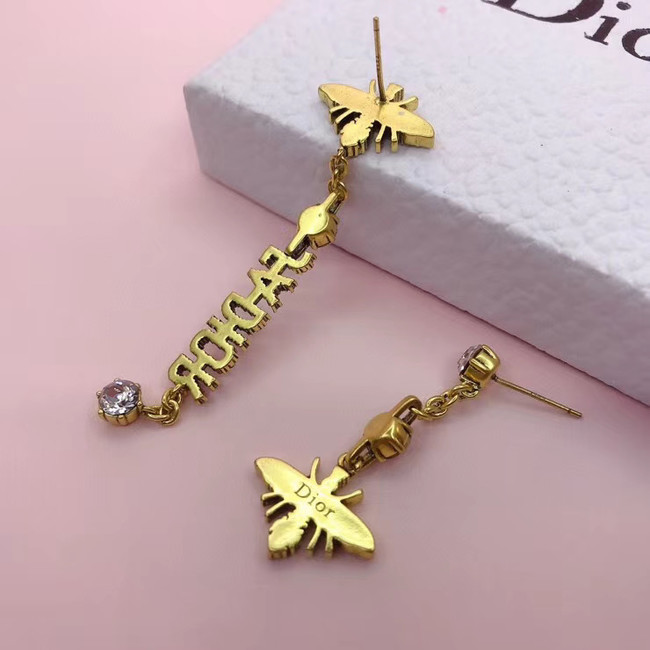 Dior Earrings CE5554