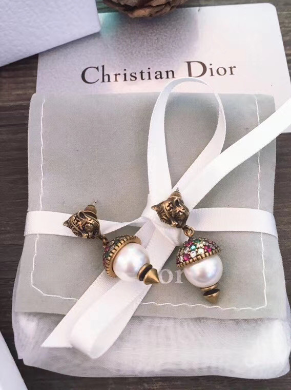 Dior Earrings CE5555