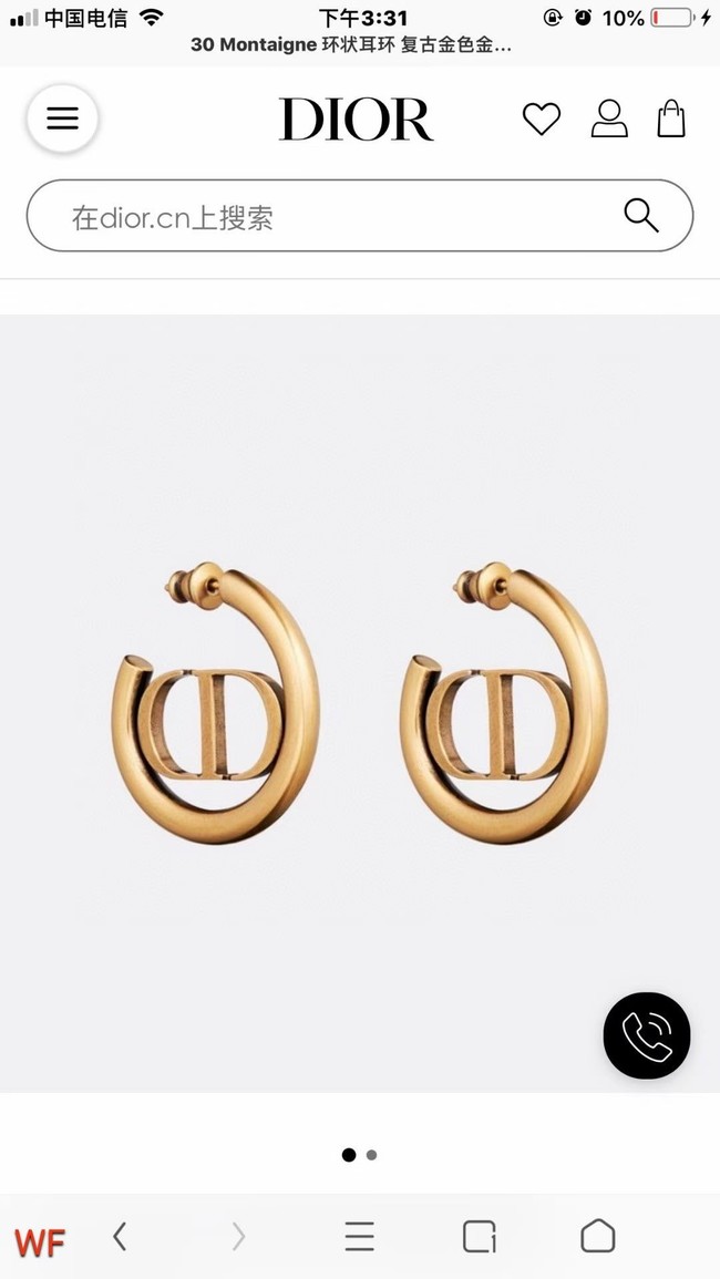 Dior Earrings CE5837