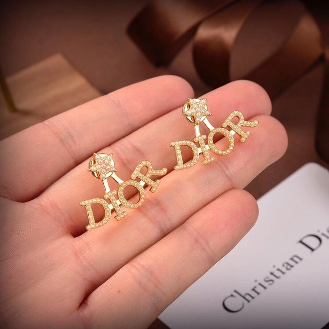 Dior Earrings CE6040