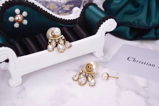 Dior Earrings CE6042