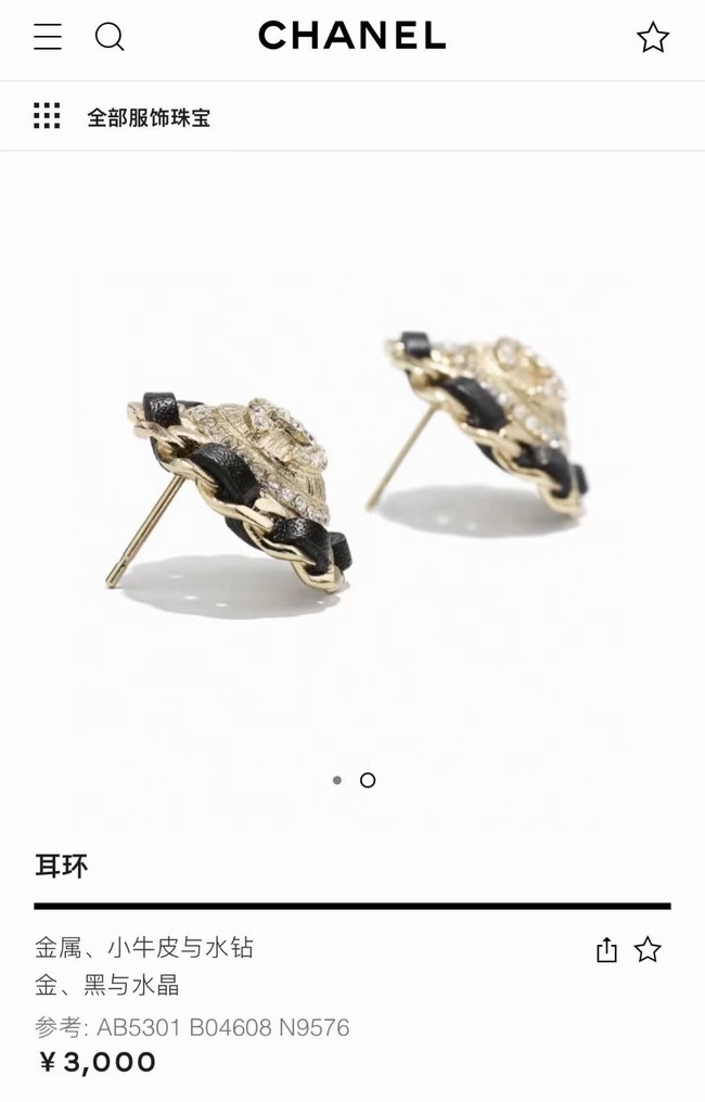 Chanel Earrings CE6170