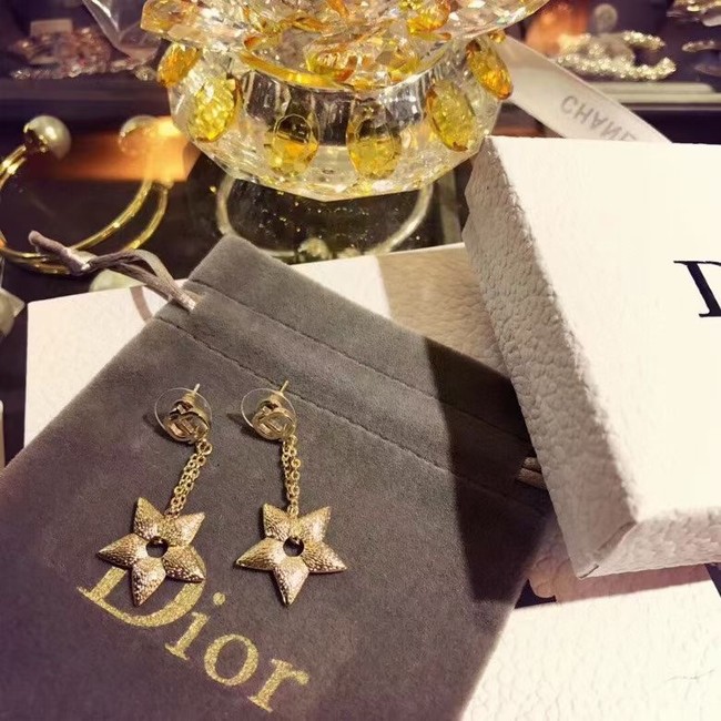 Dior Earrings CE6246