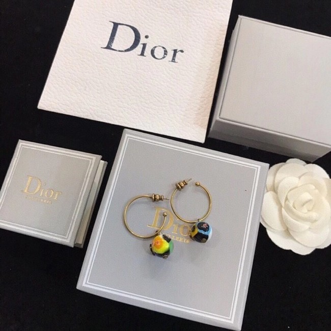 Dior Earrings CE6329