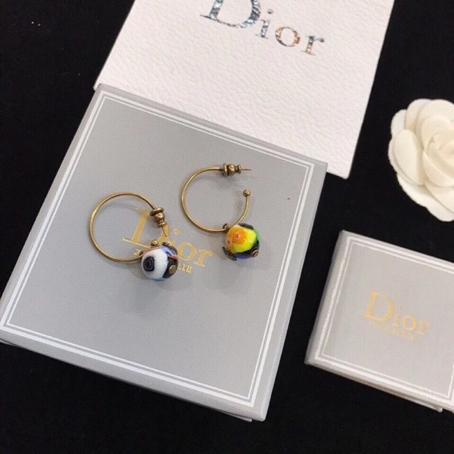 Dior Earrings CE6329