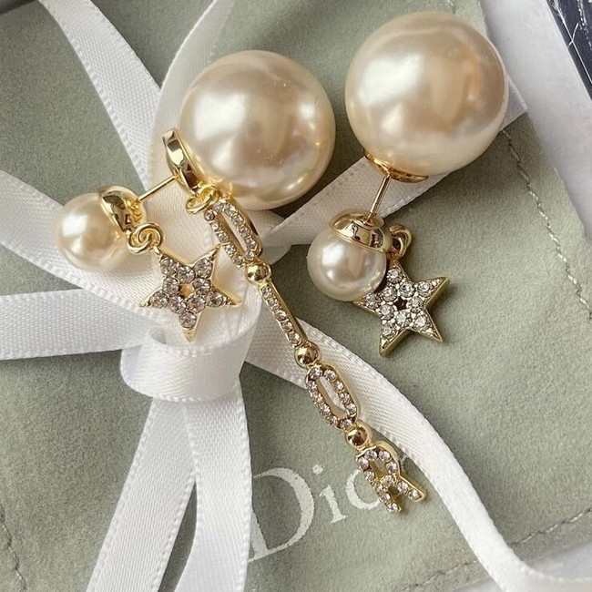 Dior Earrings CE6357