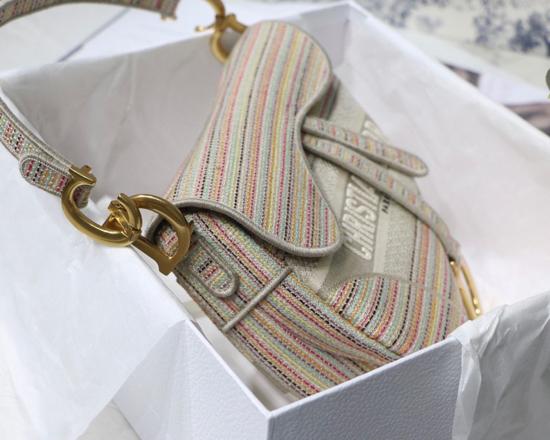 DIOR Embroidery Striped Color SADDLE BAG M0446C Beige