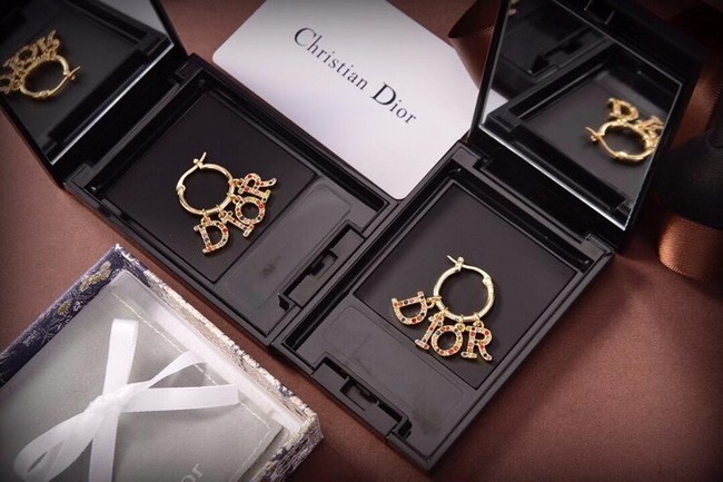 Dior Earrings CE6481