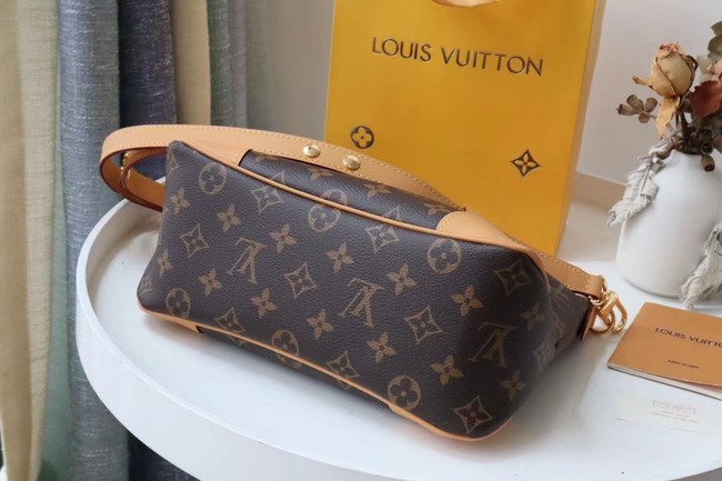 Louis Vuitton Monogram Canvas M45381 brown