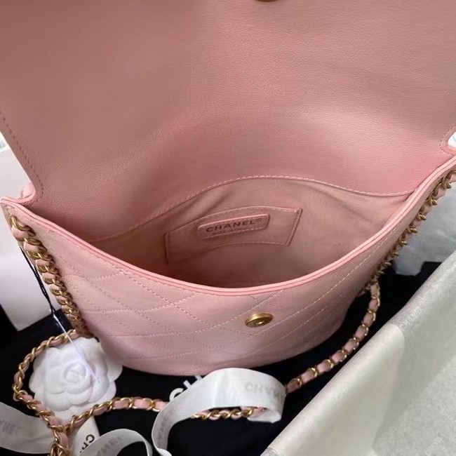 Chanel small hobo bag AS2543 AS2542 pink