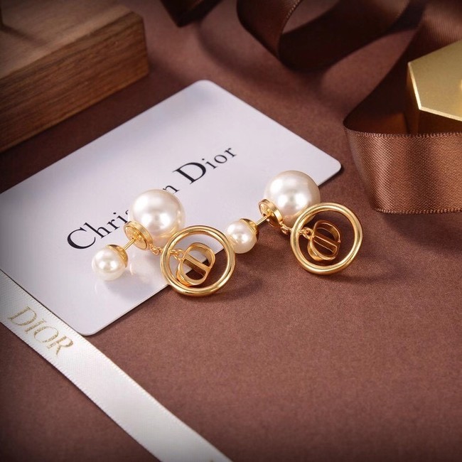 Dior Earrings CE6504