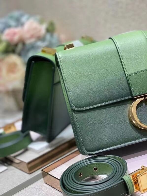 Dior 30 MONTAIGNE BAG green Gradient Calfskin M9203U