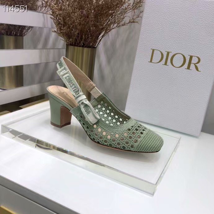 DIOR & MOI SLINGBACK PUMP Mesh Cannage Embroidery Dior777DJ-4