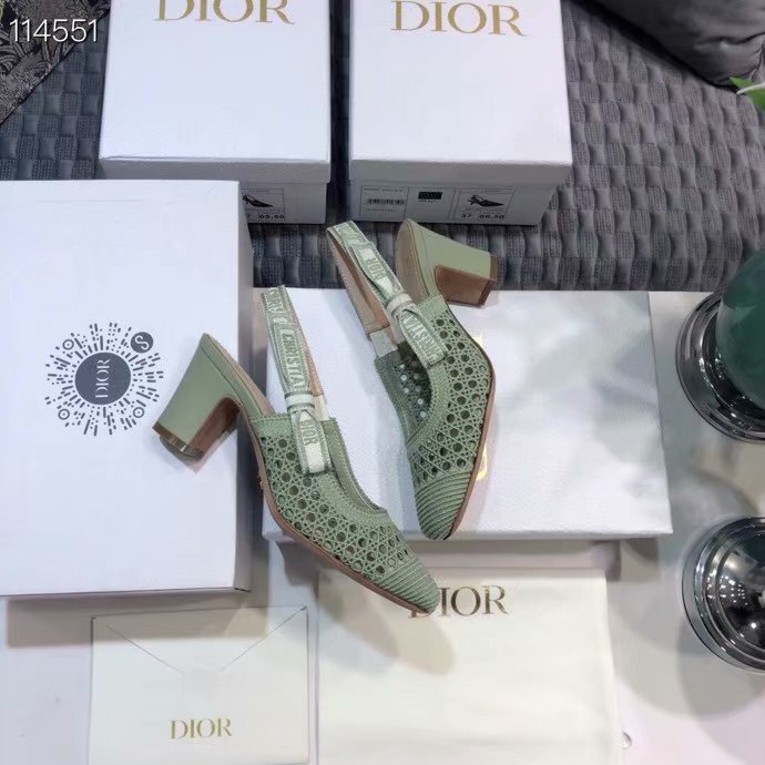 DIOR & MOI SLINGBACK PUMP Mesh Cannage Embroidery Dior777DJ-4