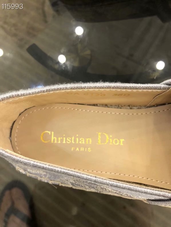 Dior Shoes GG1729XB-13