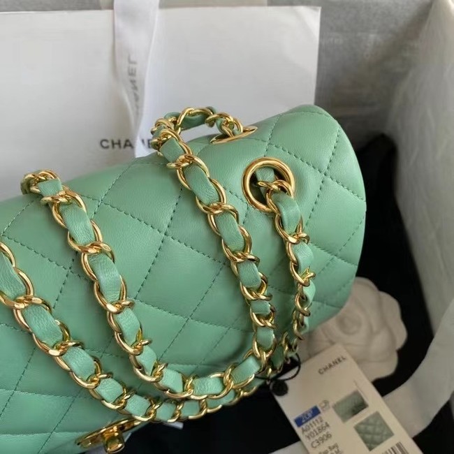 chanel classic handbag Lambskin & gold Metal A01112 light green