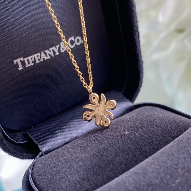 TIFFANY Necklace CE6764