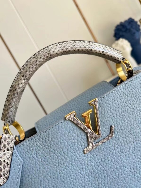 Louis Vuitton CAPUCINES PM M97980 light blue