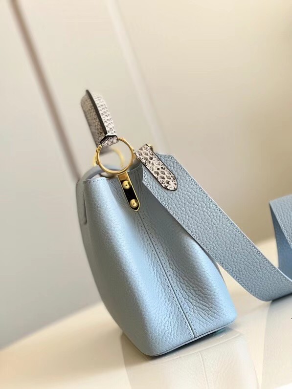 Louis Vuitton CAPUCINES PM M97980 light blue