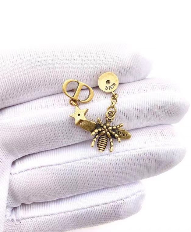 Dior Earrings CE7183