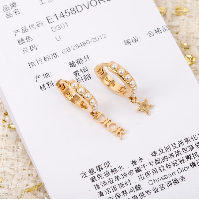 Dior Earrings CE7299