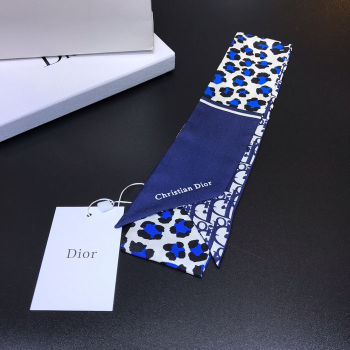 Dior Scarf CD00104