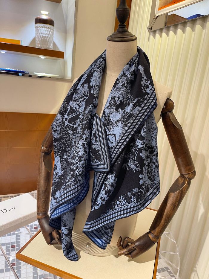 Dior Scarf CD00131