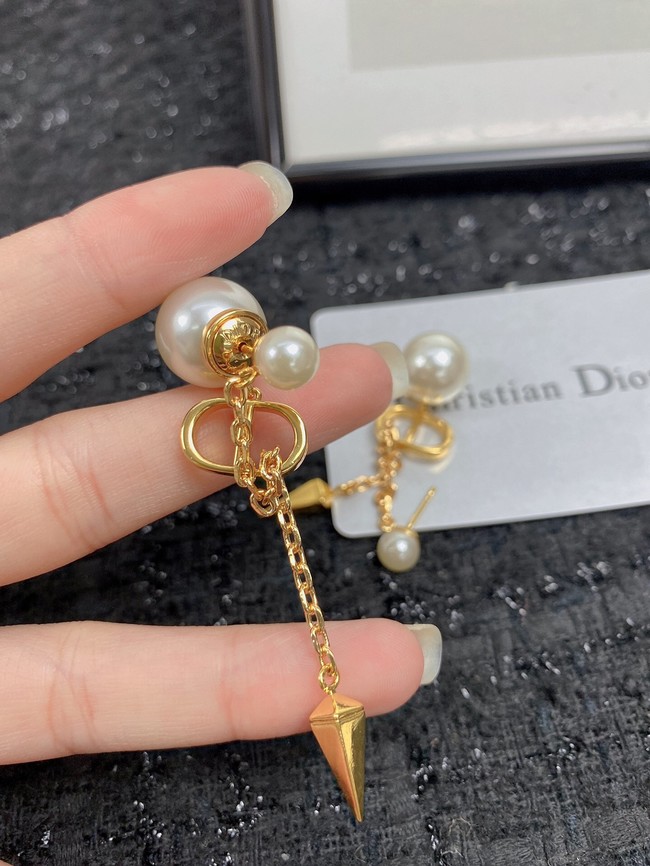 Dior Earrings CE7454