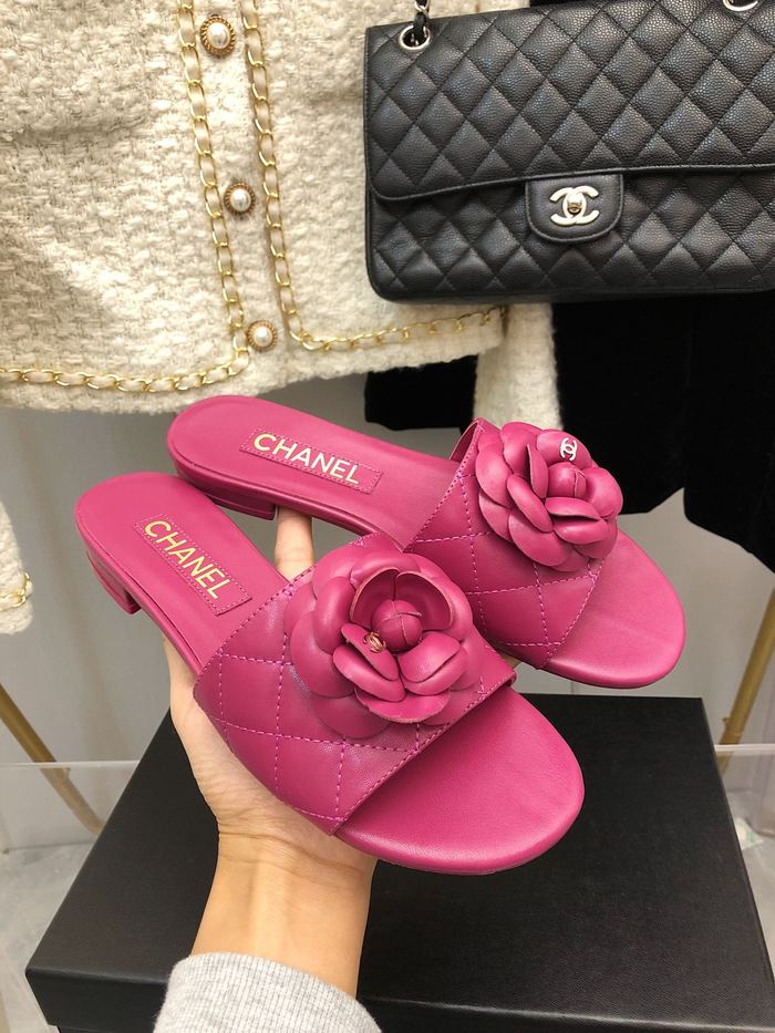 Chanel shoes CH00137 Heel Hight 2.5CM