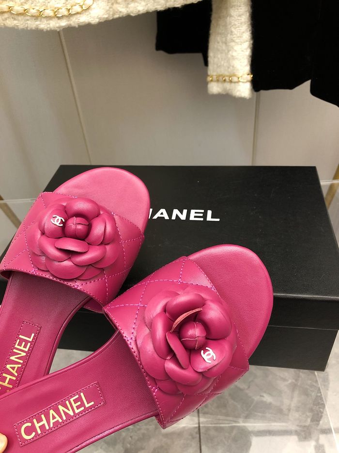 Chanel shoes CH00137 Heel Hight 2.5CM