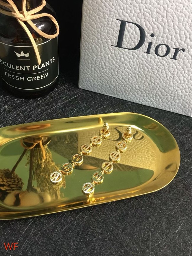 Dior Earrings CE7557