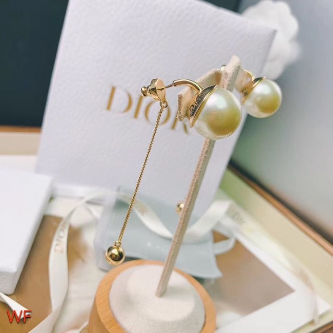 Dior Earrings CE7567