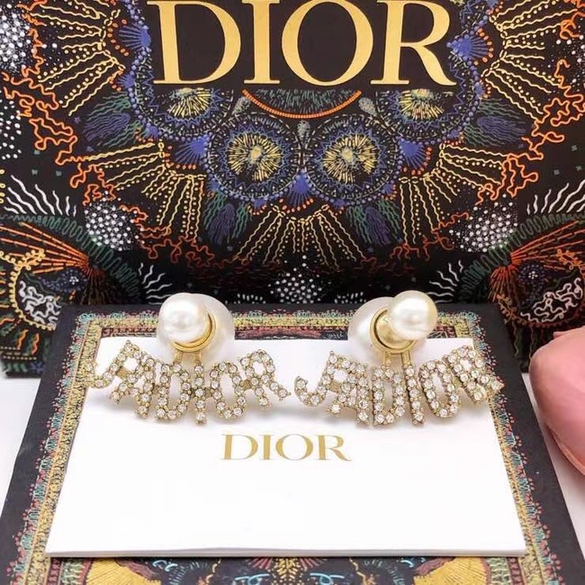 Dior Earrings CE7808