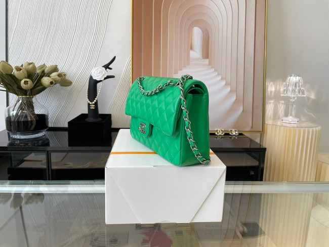 Chanel classic handbag Lambskin&silver Metal 01112 green